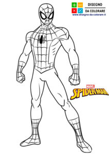 disegno spiderman