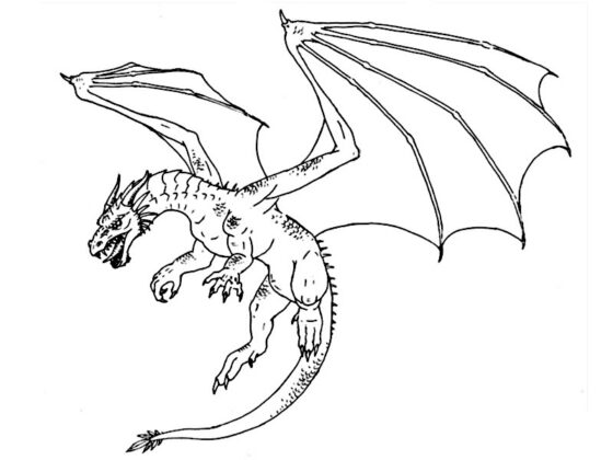draghetti da colorare