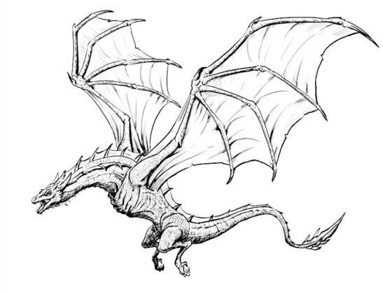 drago da colorare