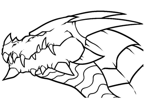 drago disegno