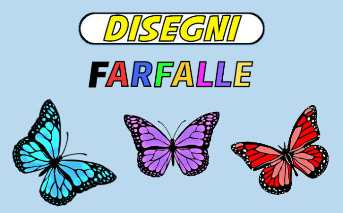 farfalla disegno