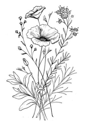 fiore da colorare