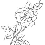 fiori disegni