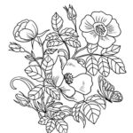 fiori disegni