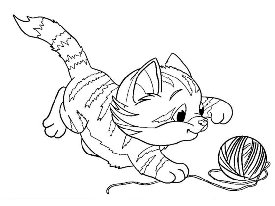 gattino disegno
