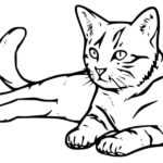 gatto da colorare