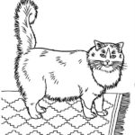 gatto disegno