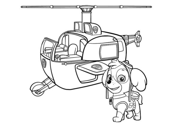 disegni da colorare paw patrol