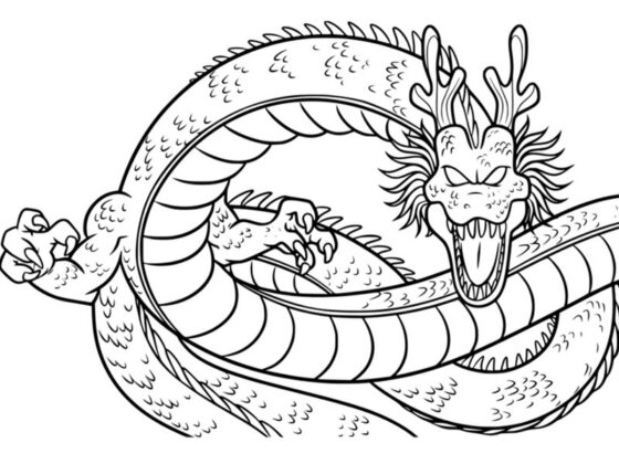 disegni dragon ball