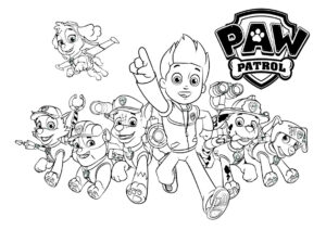 disegni paw patrol