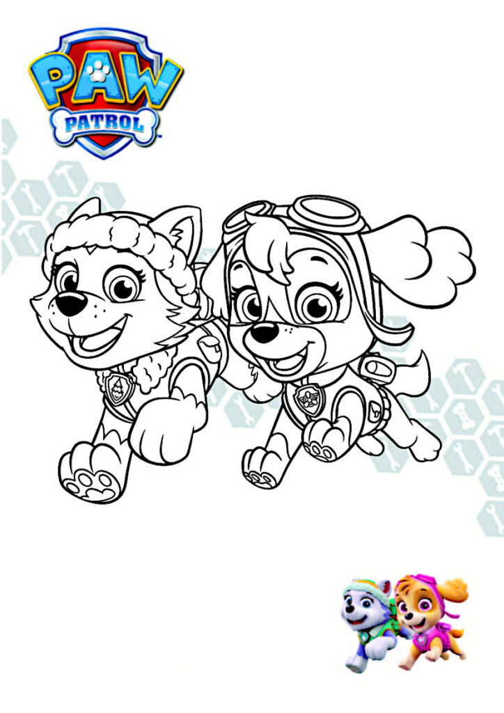 Paw Patrol da Colorare : 50 disegni da stampare (GRATIS)