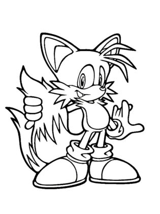 immagini di sonic