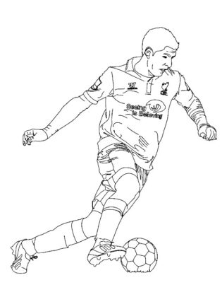 campo da calcio disegno