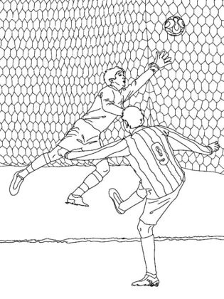 campo da calcio disegno