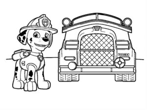 disegni da colorare paw patrol marshall