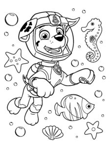 marshall paw patrol disegno