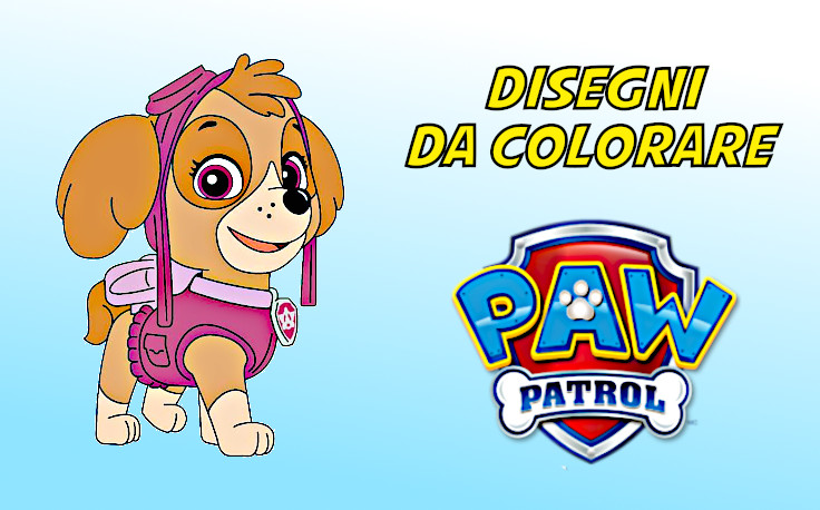 sky paw patrol da colorare