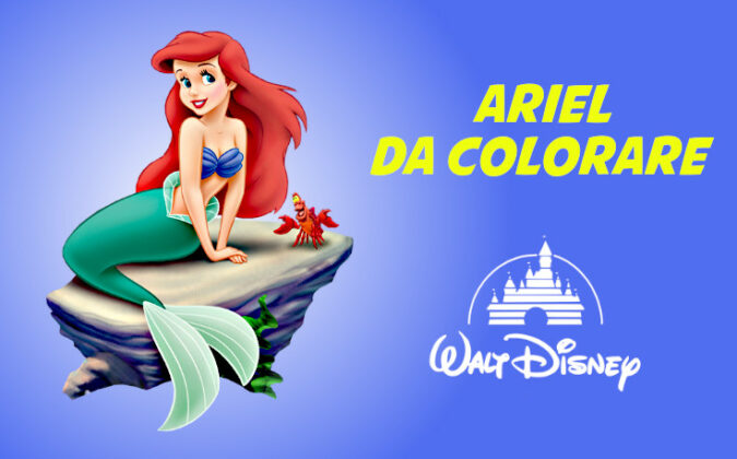 Ariel Da Colorare Disegni Da Stampare