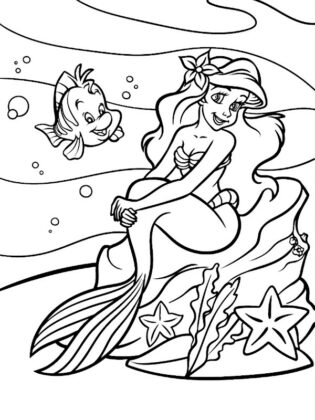 ariel disegno