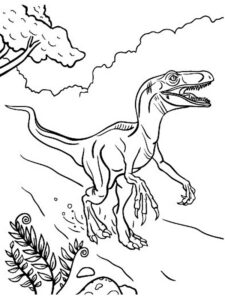 dinosauri da colorare velociraptor