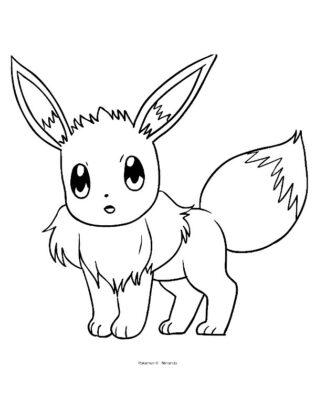 disegni di eevee