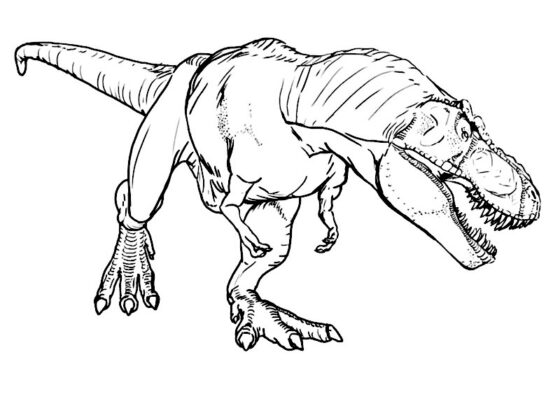 t rex da colorare