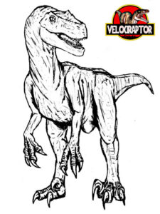velociraptor da colorare