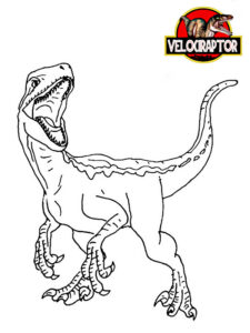 velociraptor disegni da colorare