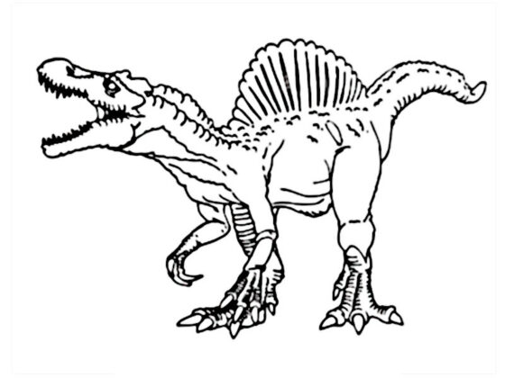 spinosaurus da colorare