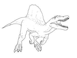 spinosaurus disegno