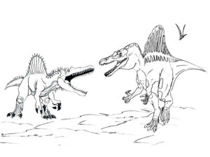 spinosaurus disegno