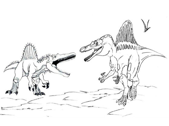 spinosaurus disegno