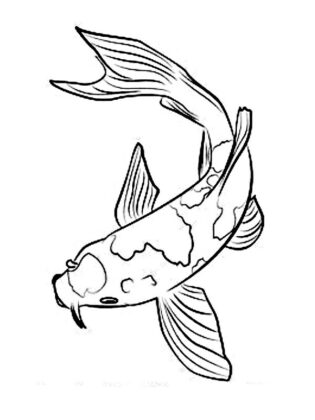 pesce da colorare