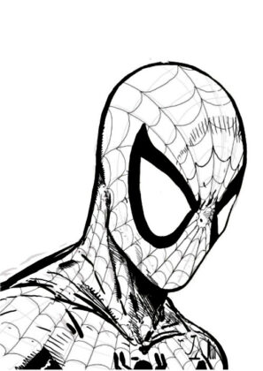 disegni di spider-man