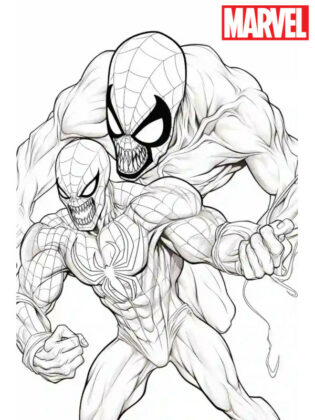 venom disegni