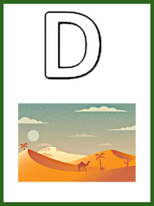 lettera d da colorare