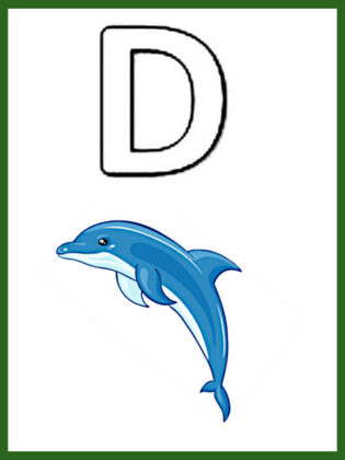 lettera d da colorare
