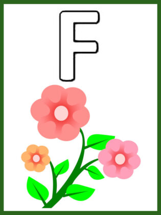 lettera f da colorare