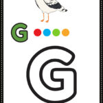 lettera g da colorare