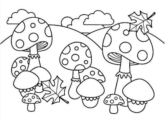 disegni autunno