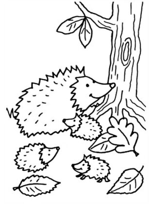 disegni autunno