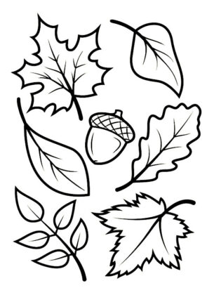disegno autunno