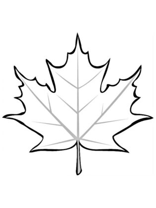 foglia autunno disegno