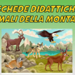 schede didattiche flora e fauna della montagna da colorare