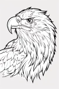 aquila disegni