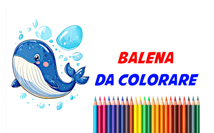 balena da colorare