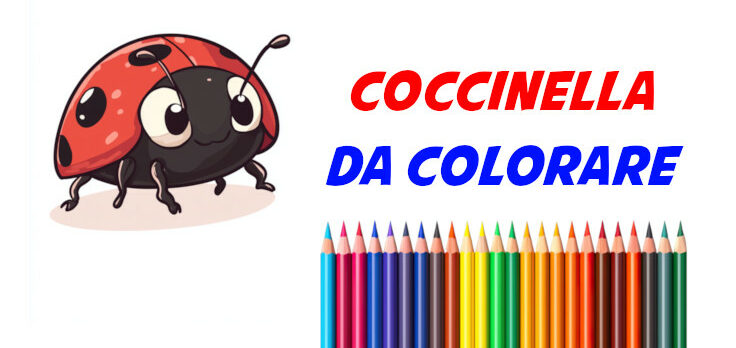 coccinella da colorare