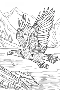 disegni aquila