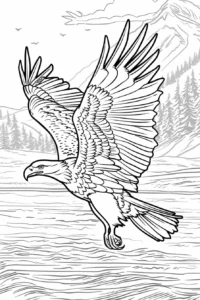 disegno aquila