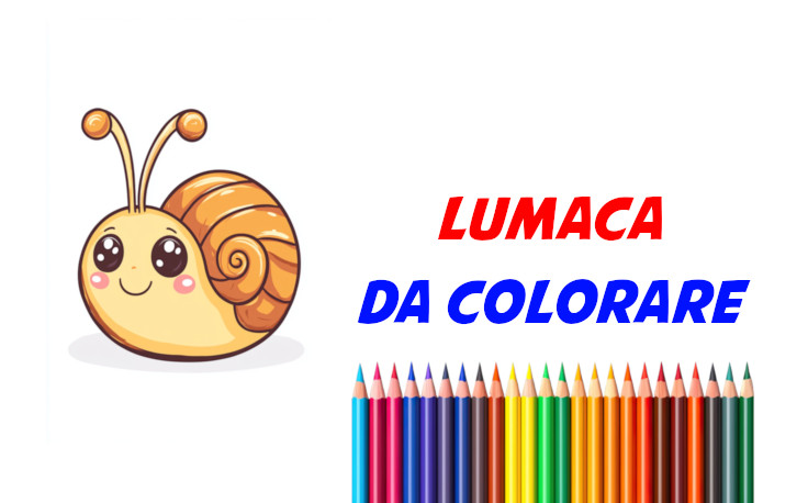 lumaca da colorare